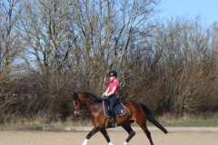 Dressurlehrgang-Carina-Petersen-2022-4