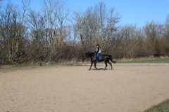 Dressurlehrgang-Carina-Petersen-2022-5