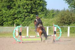 Unterricht-Carina-Petersen-2023-30