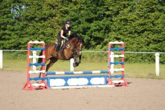 Unterricht-Carina-Petersen-2023-38