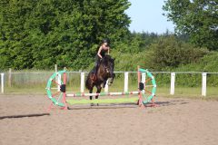 Unterricht-Carina-Petersen-2023-41