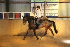 Dressurlehrgang-Tanja-Schmidt-2023-1-Titelbild