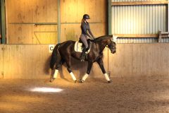 Dressurlehrgang-Tanja-Schmidt-2023-10