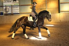 Dressurlehrgang-Tanja-Schmidt-2023-12