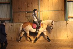 Dressurlehrgang-Tanja-Schmidt-2023-24