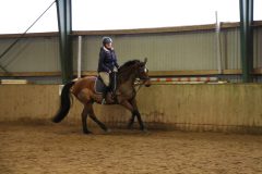 Dressurlehrgang-Tanja-Schmidt-2023-26