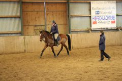 Dressurlehrgang-Tanja-Schmidt-2023-27