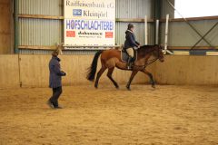 Dressurlehrgang-Tanja-Schmidt-2023-28