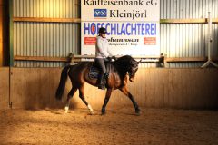 Dressurlehrgang-Tanja-Schmidt-2023-3
