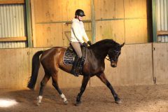 Dressurlehrgang-Tanja-Schmidt-2023-4