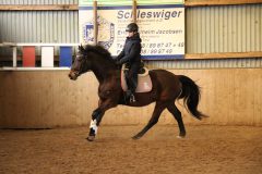 Dressurlehrgang-Tanja-Schmidt-2023-40
