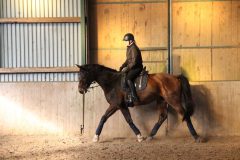 Dressurlehrgang-Tanja-Schmidt-2023-44