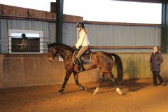 Dressurlehrgang-Tanja-Schmidt-2023-58