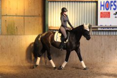 Dressurlehrgang-Tanja-Schmidt-2023-9